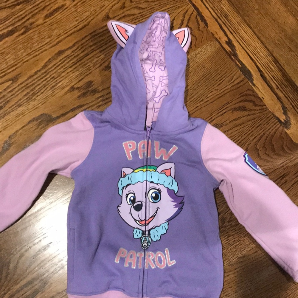 Paw Patrol Everest hoodie